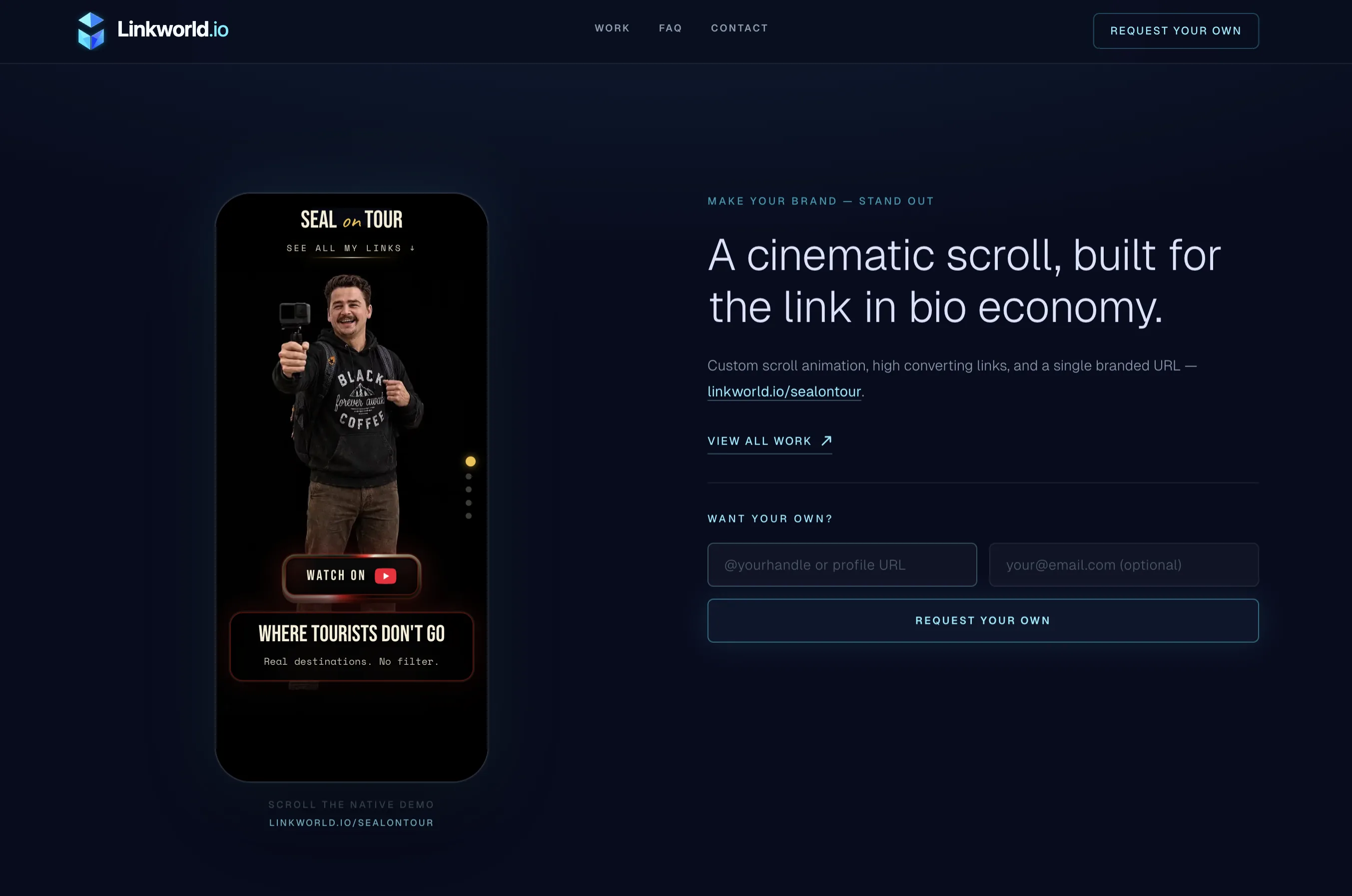 Portfolio project screenshot 9