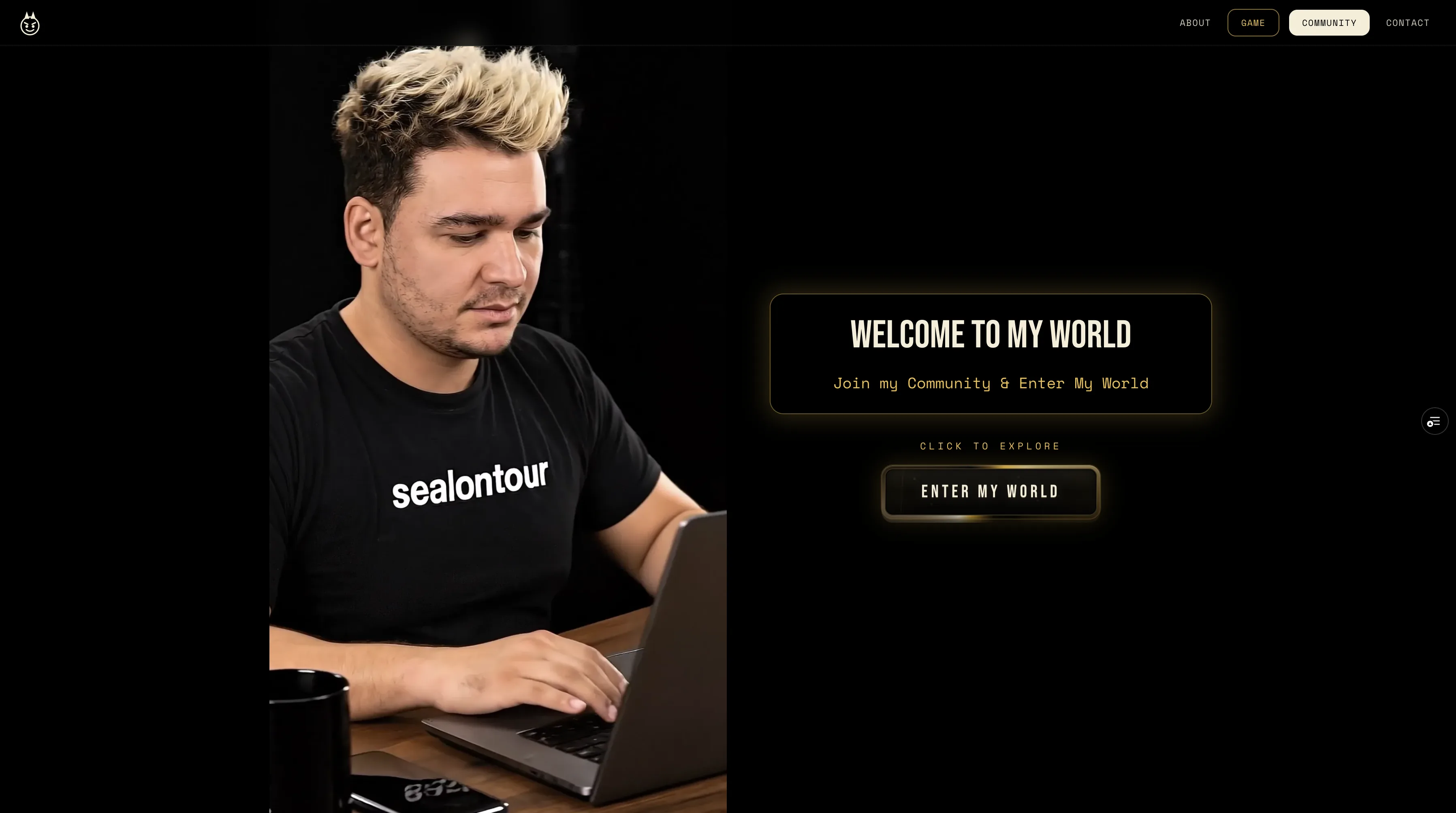 Portfolio project screenshot 10