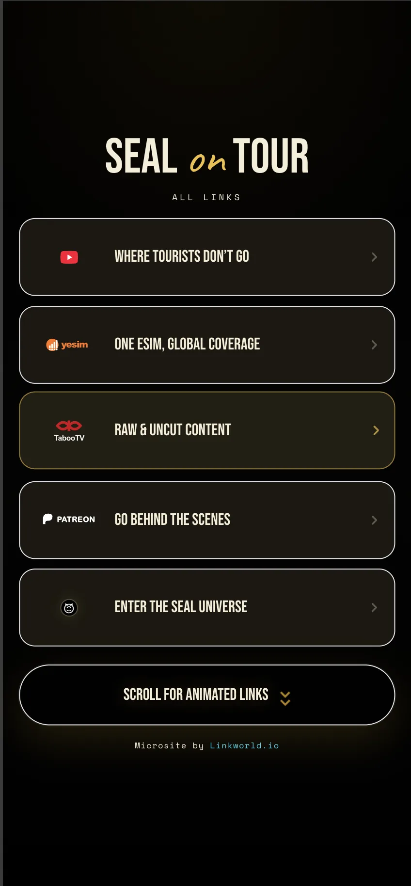 Portfolio project screenshot 12
